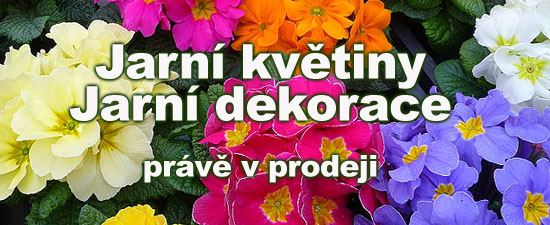 Nov� zbo��