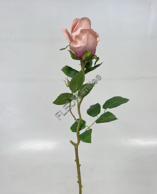 Růže x1 67cm 48/576
