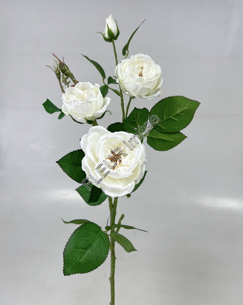 Větev růže WIILD 75cm S755  24/240