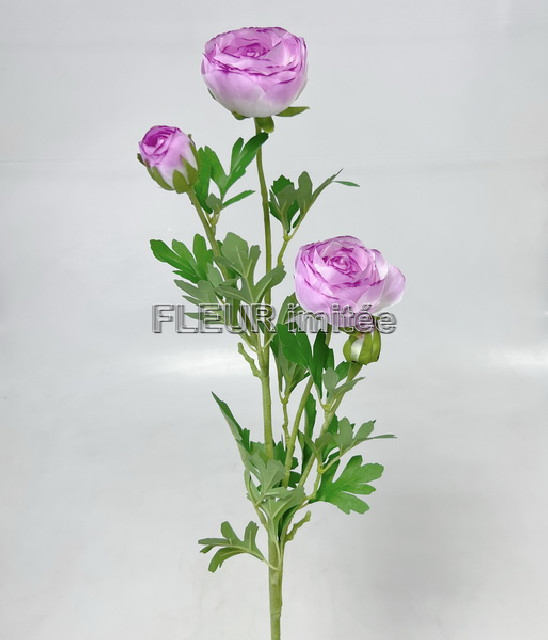 Ranunculus x3 72cm  18/180