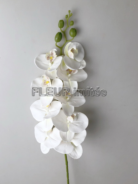 Orchidea phal.latex 95cm 24/120