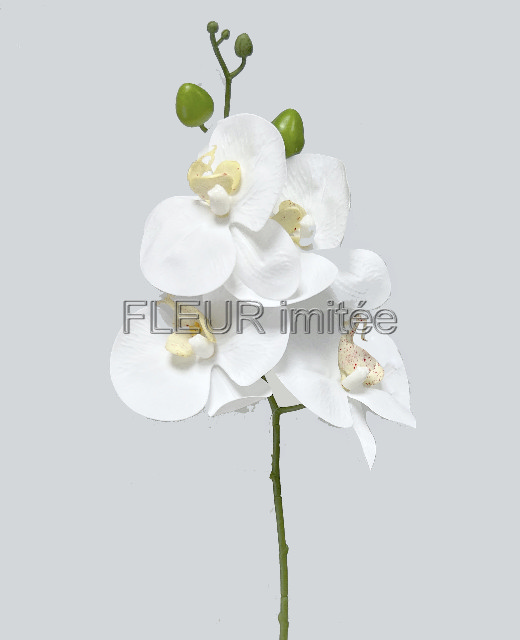 Orchidea 66cm 24/144