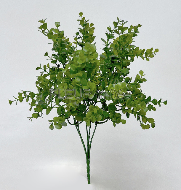 Buxus x5 v33cm  24/192
