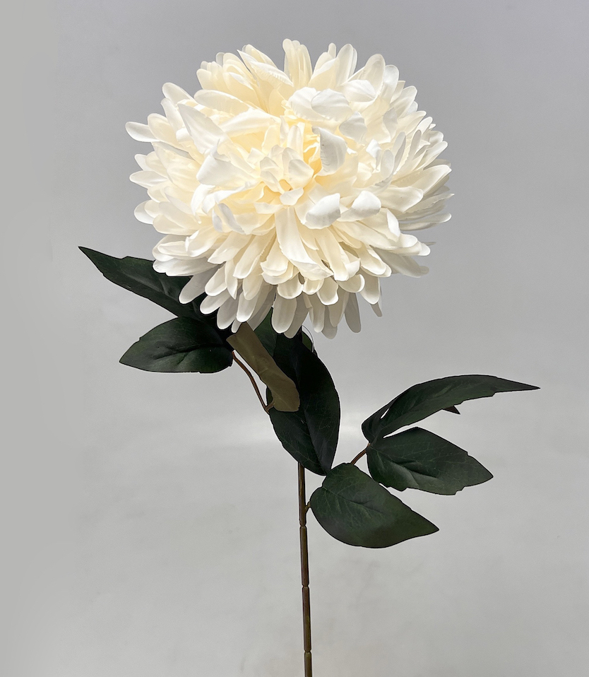 Chryzantéma x1 66cm 48/288