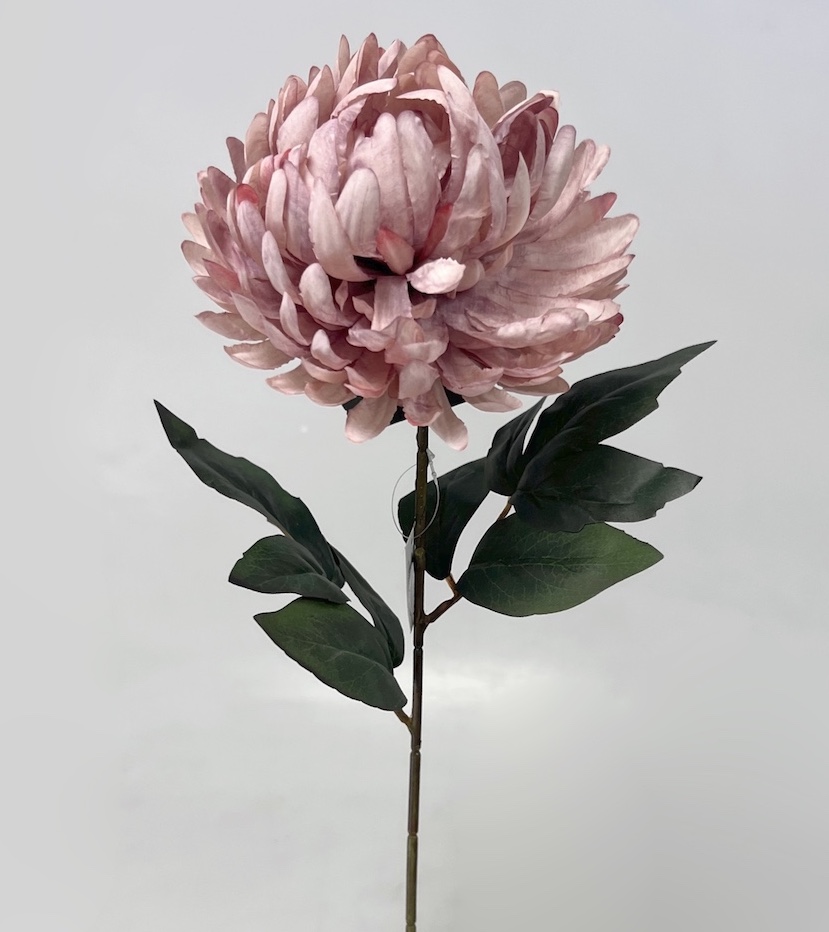 Chryzantéma x1 66cm 48/288