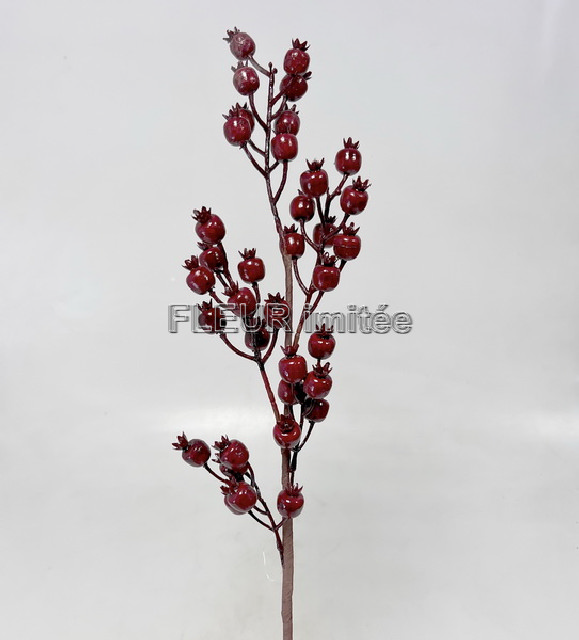 Šípek  60cm    12/96