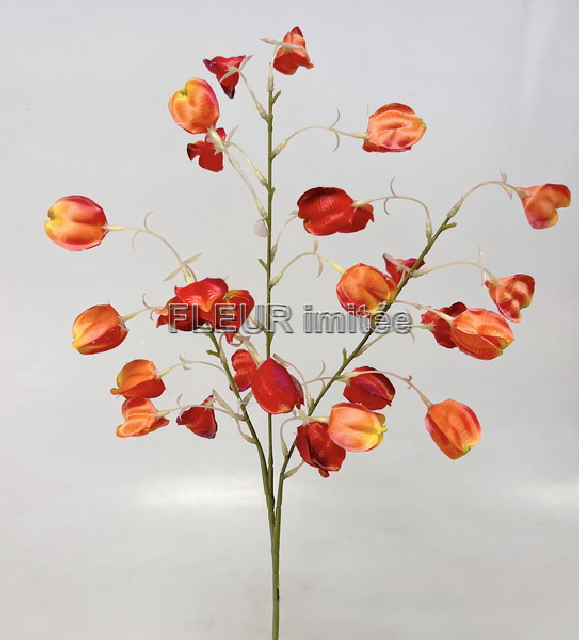 Physalis x3  74cm 12/144