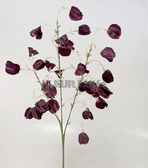 Physalis x3  74cm 12/144