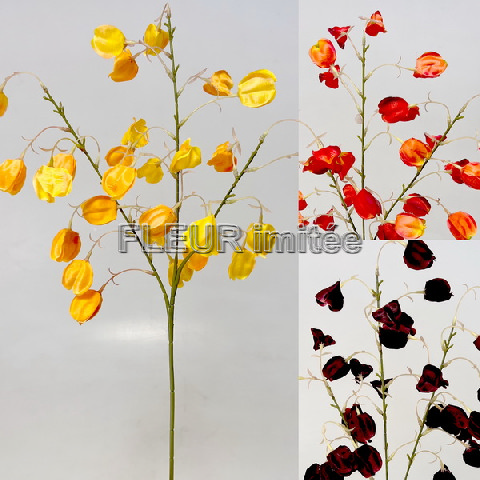 Physalis x3  74cm 12/144
