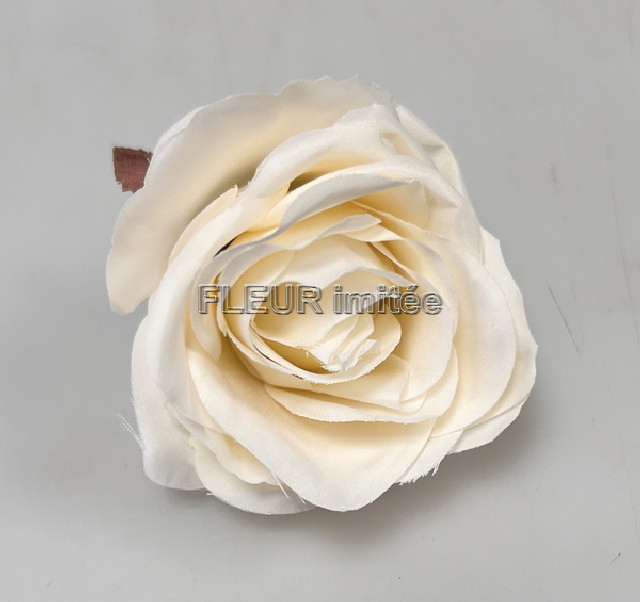 Květ růže Lola 8cm 12/144
