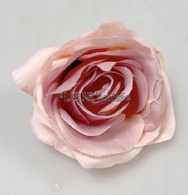 Květ růže Lola 8cm 12/144