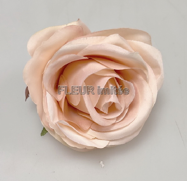 Květ růže Lola 8cm 12/144