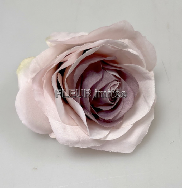 Květ růže Lola 8cm 12/144