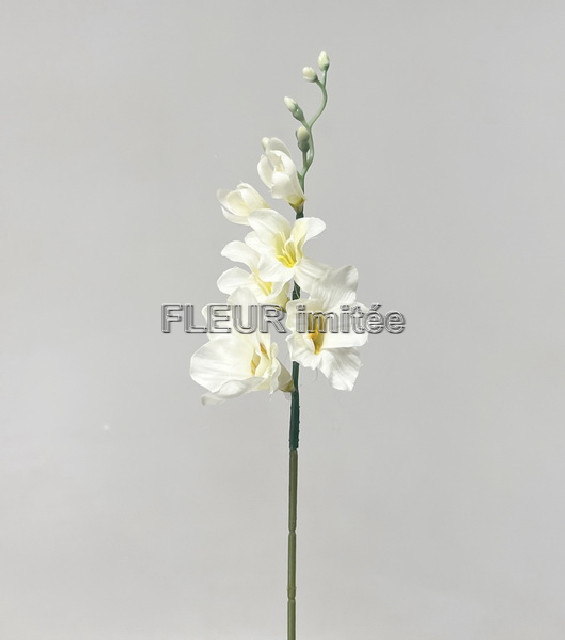 Frezie 53cm 120/720