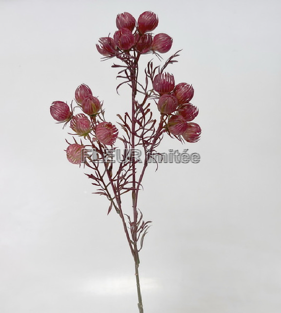 Mochna mini x3  60cm 36/216