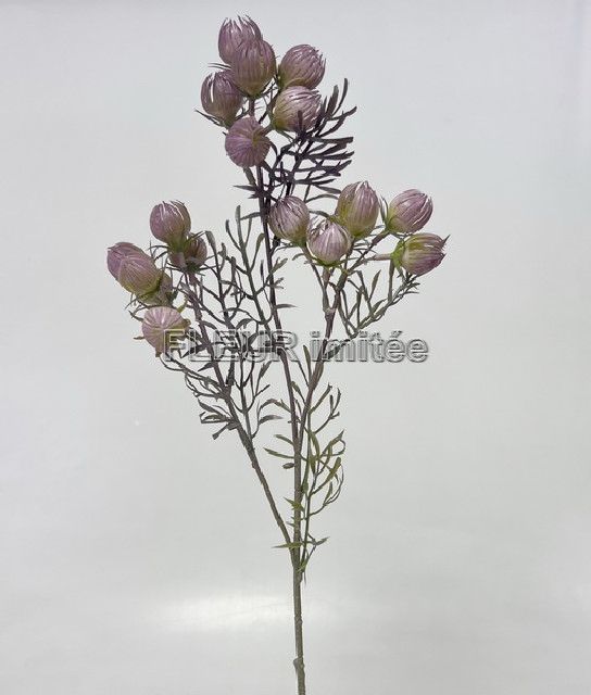 Mochna mini x3  60cm 36/216