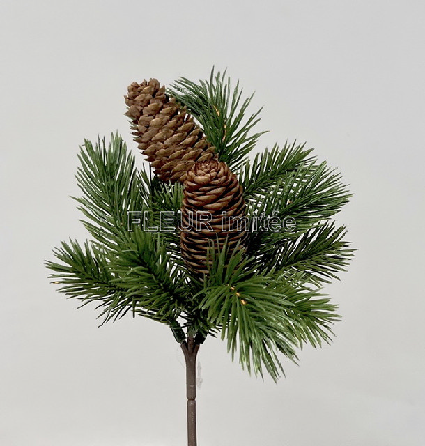 Chvojí se 2 šiškami 24cm 72/144