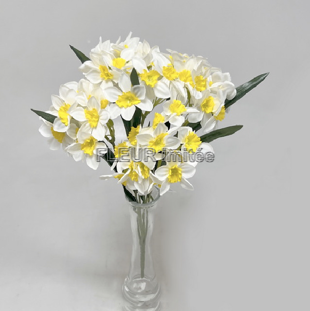 Narcis x5  50cm 48/192