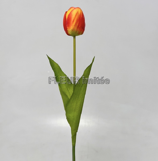 Tulipán x1 53cm 48/480
