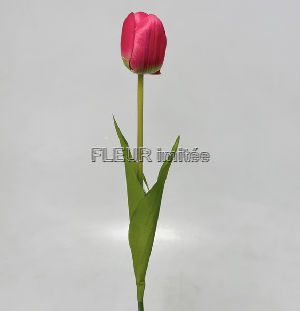 Tulipán x1 53cm 48/480
