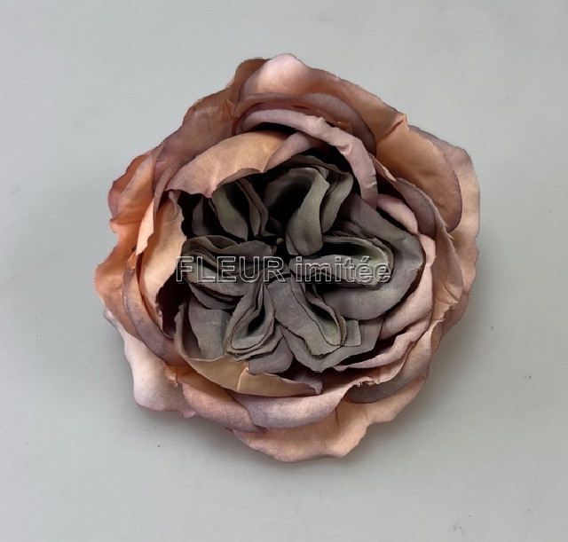 Květ růže Claire 8cm 12/576