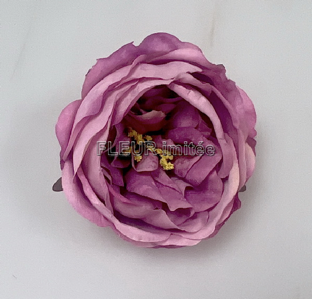 Květ růže ANGEL 7cm 12/720