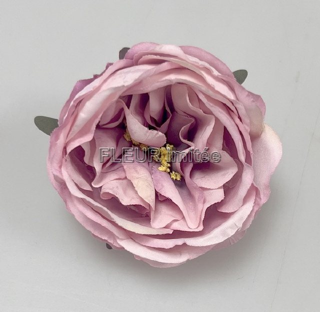 Květ růže ANGEL 7cm 12/720