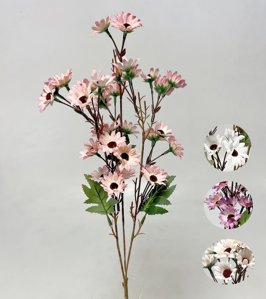 Čekanka 87cm  24/144