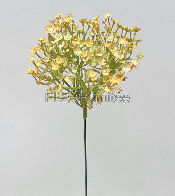 Gypsophila 42cm 12/72