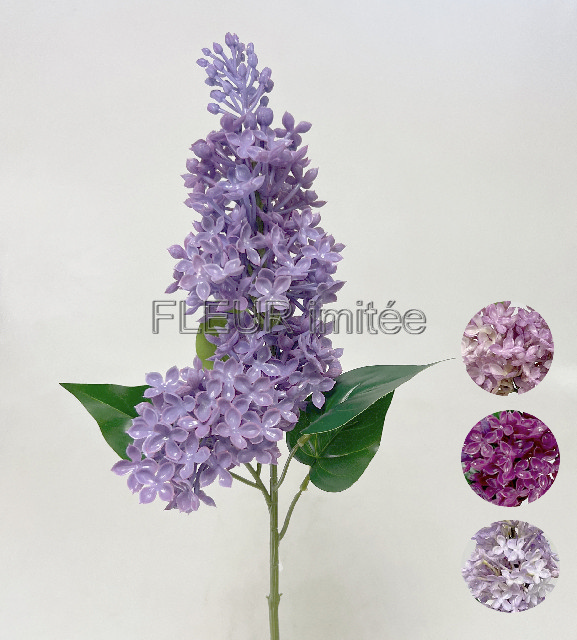 Šeřík x2 68cm latex 12/96