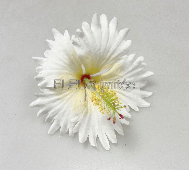 Květ ibišek 8cm  6/120