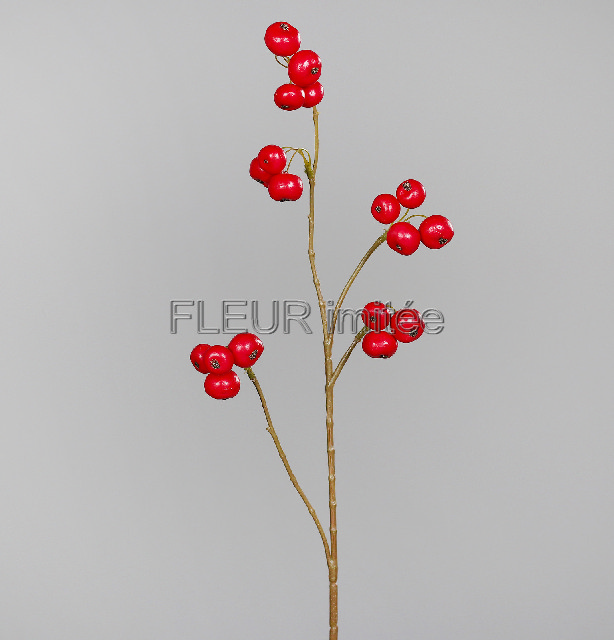 Jablíčka mini x5  65cm  24/288