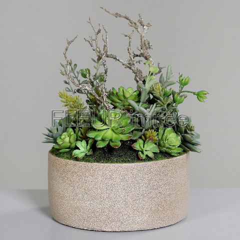 Sukulenty v misce pr.36cm