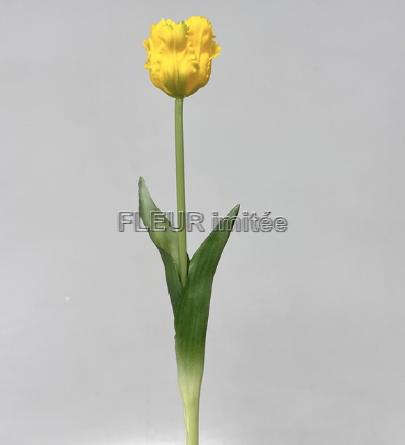 Tulipán latex 45cm 48/384