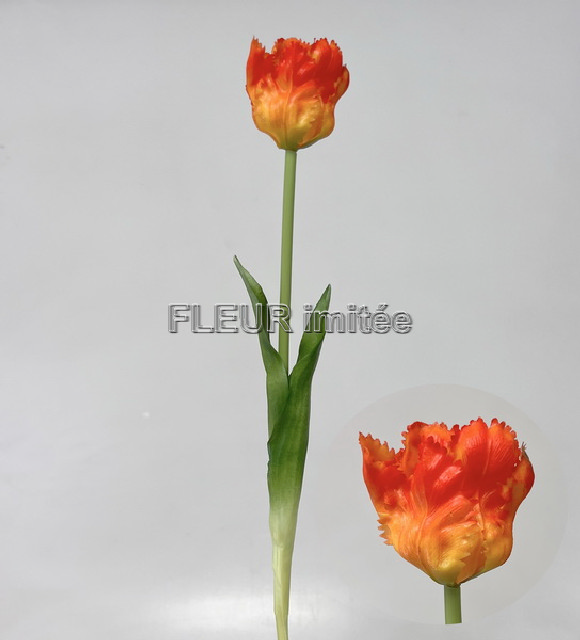 Tulipán latex 45cm 48/384