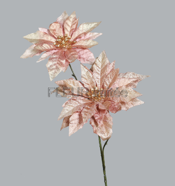 Poinsettia x2 66cm 16/96