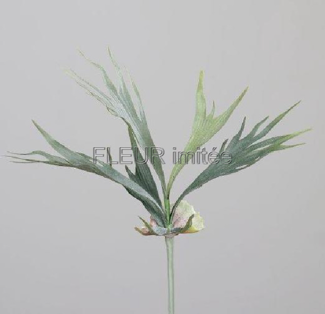 Parožnatka 40cm 24/144