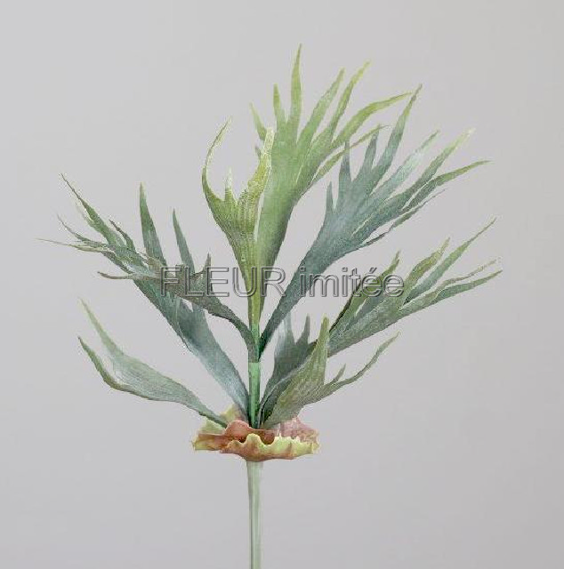 Parožnatka 45cm 12/96