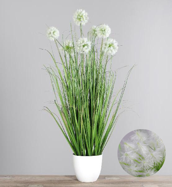 Tráva v květ.72cm pampeliškou 4/24