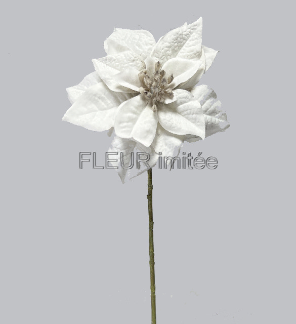 Poinsettia 45cm 36/216