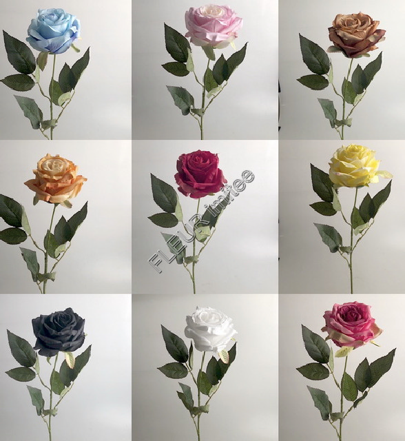 Růže  LY003  7cm/60cm    12/540