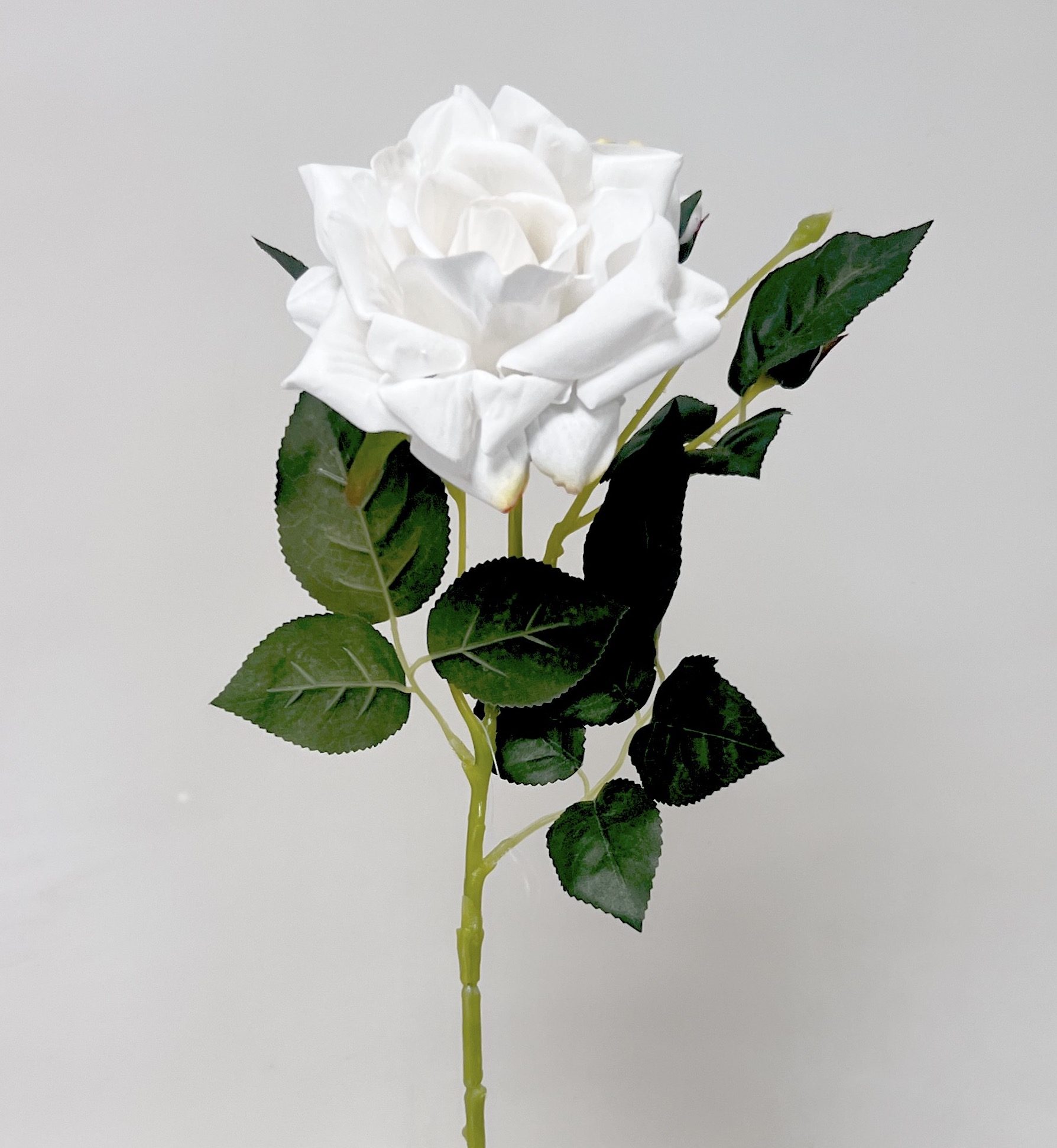Růže velvet LUX 72cm 24/192