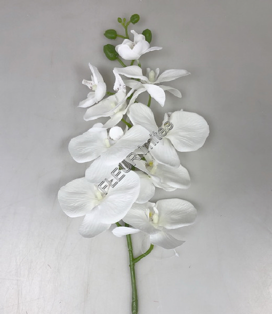 Orchidea 98cm 24/120