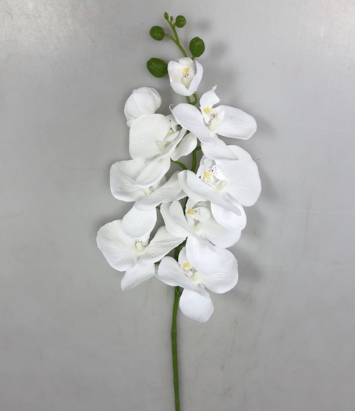 Orchidea 98cm 24/120