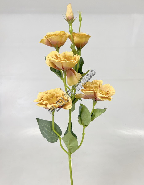 Eustoma x7 85cm S345  24/240