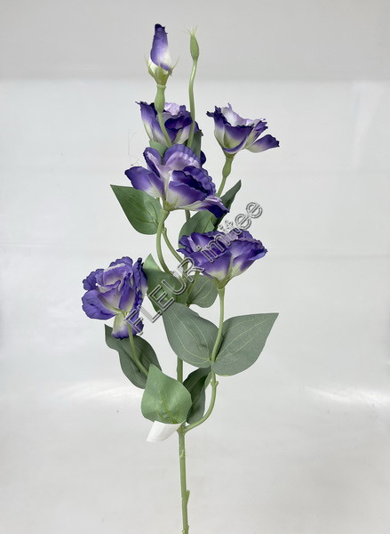 Eustoma x7 85cm S345  24/240