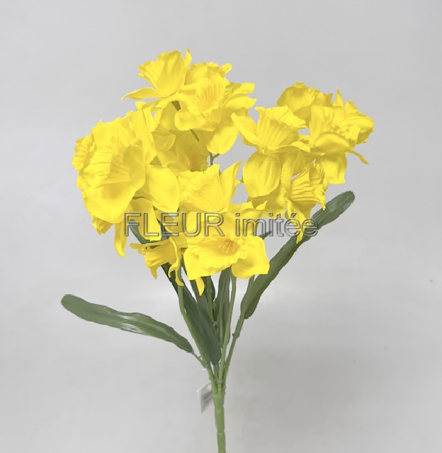 Narcis x7  42cm  24/288