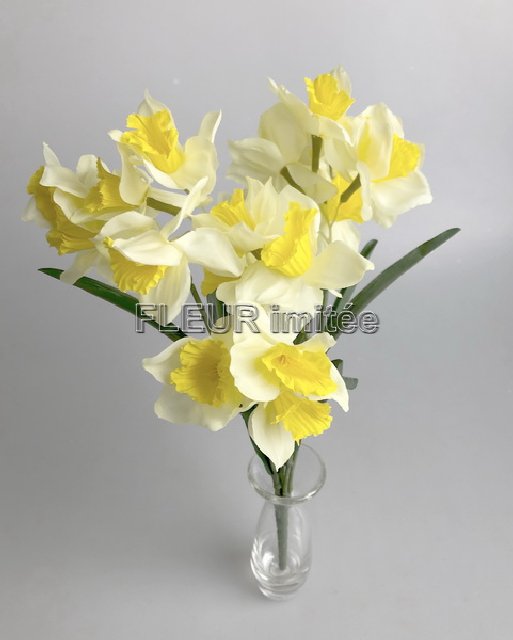 Narcis x7  42cm  24/288