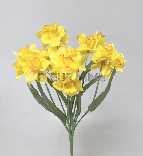Narcis x7  42cm  24/288