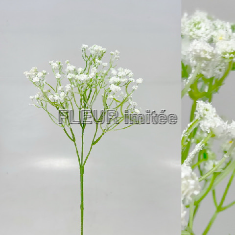 Gypsophila x5 60cm 12/144